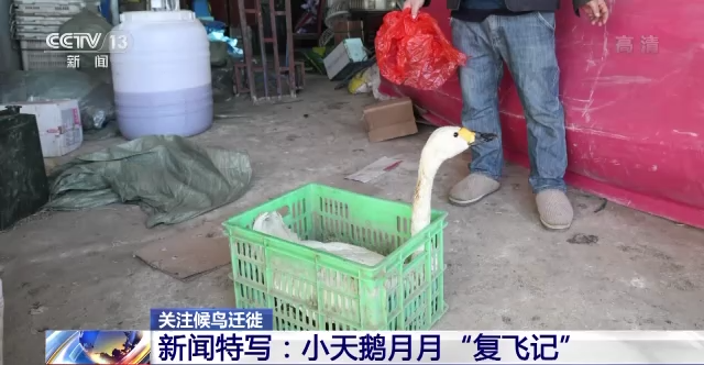 7790�ط����Ź������,����Ұ������׷��,��������׷����,����׷����