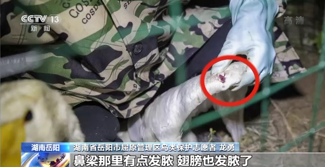 7790�ط����Ź������,����Ұ������׷��,��������׷����,����׷����