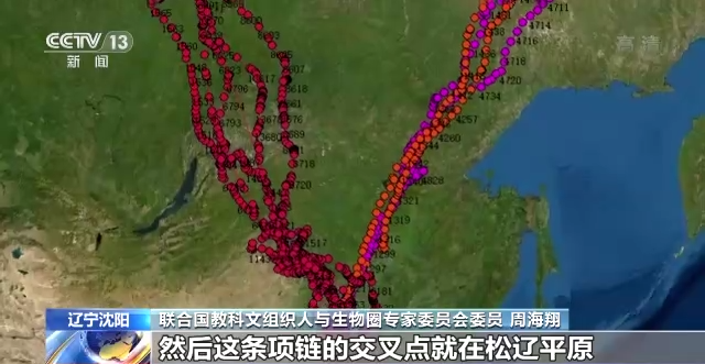 7790�ط����Ź������,����Ұ������׷��,��������׷����,����׷����