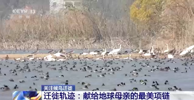 7790�ط����Ź������,����Ұ������׷��,��������׷����,����׷����