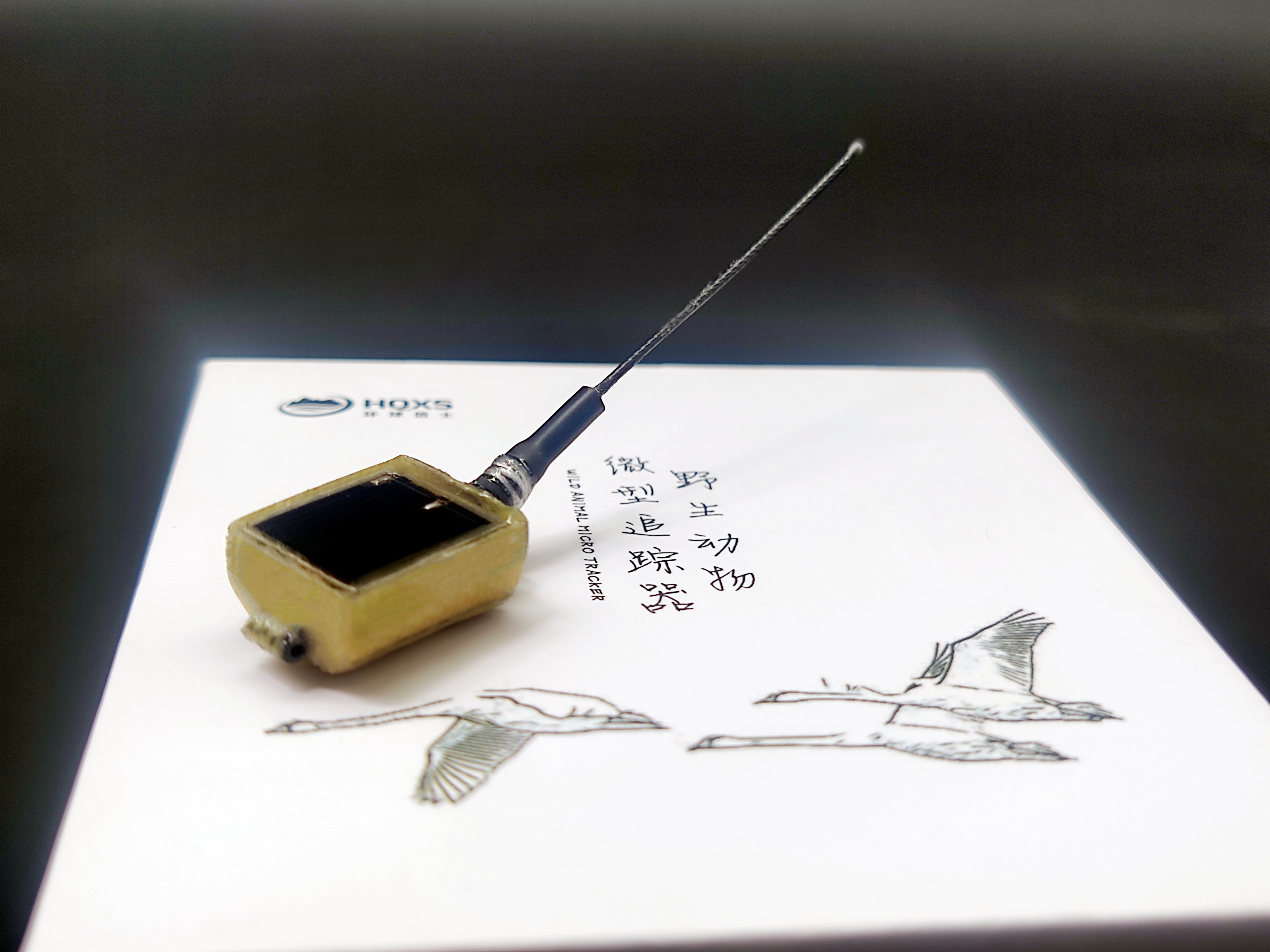 7790�ط����Ź������,����Ұ������׷��,��������׷����,����׷����