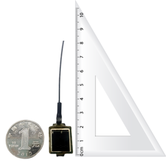 7790�ط����Ź������,����Ұ������׷��,��������׷����,����׷����