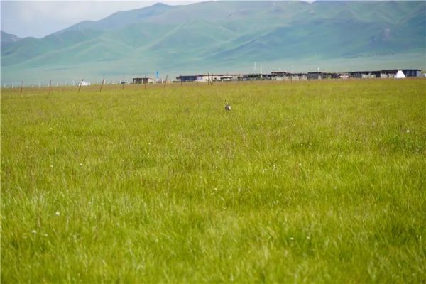 7790�ط����Ź������,����Ұ������׷��,��������׷����,����׷����