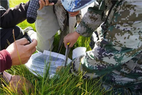 7790�ط����Ź������,����Ұ������׷��,��������׷����,����׷����