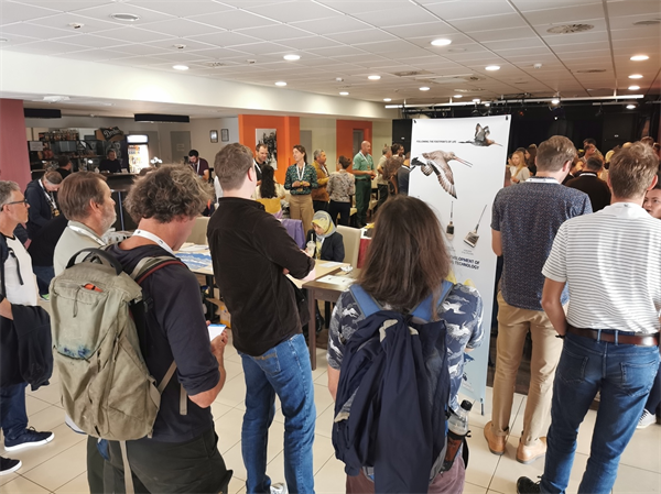 7790�ط����Ź������,����Ұ������׷��,��������׷����,����׷����