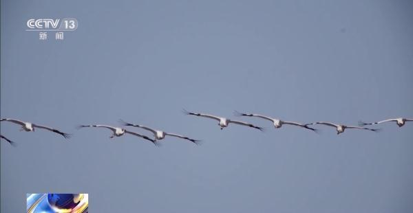 7790�ط����Ź������,����Ұ������׷��,��������׷����,����׷����