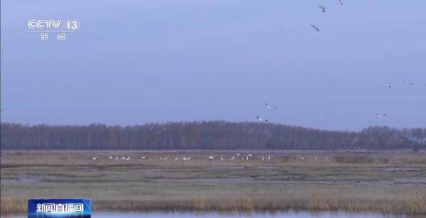 7790�ط����Ź������,����Ұ������׷��,��������׷����,����׷����