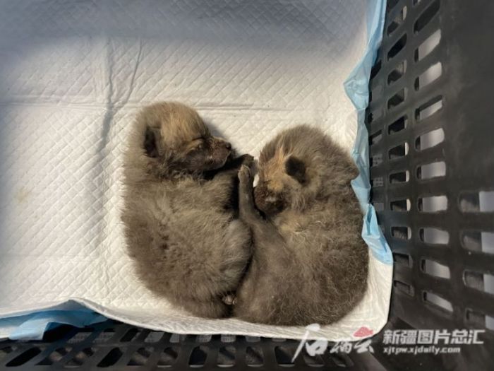 7790�ط����Ź������,����Ұ������׷��,��������׷����,����׷����