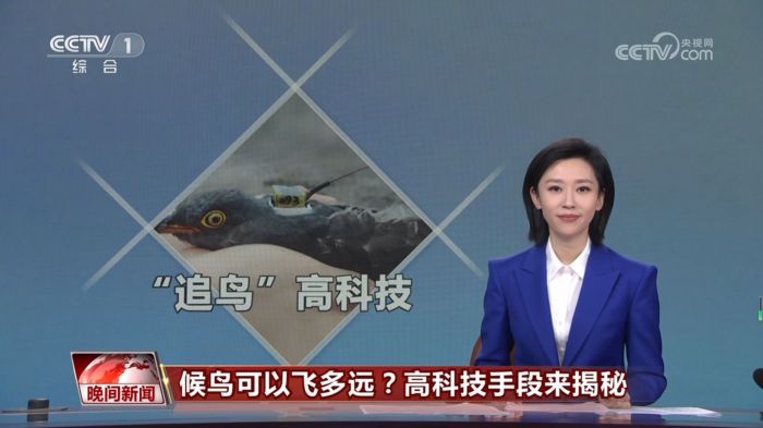 7790�ط����Ź������,����Ұ������׷��,��������׷����,����׷����