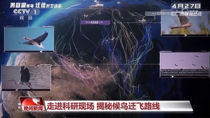 7790�ط����Ź������,����Ұ������׷��,��������׷����,����׷����