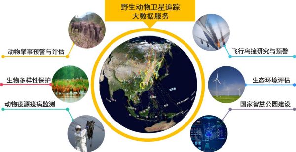 7790±Ø·¢¼¯ÍŹÙÍøÈë¿Ú,ºþÄÏÒ°Éú¶¯Îï×·×Ù,ºþÄÏÎÀÐÇ×·×ÙÆ÷,ºþÄÏ×·×ÙÆ÷ 7790±Ø·¢¼¯ÍŹÙÍøÈë¿Ú,ºþÄÏÒ°Éú¶¯Îï×·×Ù,ºþÄÏÎÀÐÇ×·×ÙÆ÷,ºþÄÏ×·×ÙÆ÷