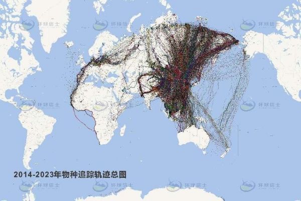 7790±Ø·¢¼¯ÍŹÙÍøÈë¿Ú,ºþÄÏÒ°Éú¶¯Îï×·×Ù,ºþÄÏÎÀÐÇ×·×ÙÆ÷,ºþÄÏ×·×ÙÆ÷ 7790±Ø·¢¼¯ÍŹÙÍøÈë¿Ú,ºþÄÏÒ°Éú¶¯Îï×·×Ù,ºþÄÏÎÀÐÇ×·×ÙÆ÷,ºþÄÏ×·×ÙÆ÷