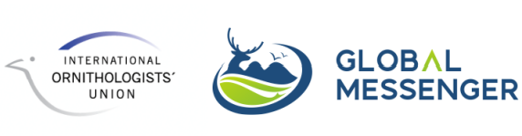 7790±Ø·¢¼¯ÍŹÙÍøÈë¿Ú,ºþÄÏÒ°Éú¶¯Îï×·×Ù,ºþÄÏÎÀÐÇ×·×ÙÆ÷,ºþÄÏ×·×ÙÆ÷ 7790±Ø·¢¼¯ÍŹÙÍøÈë¿Ú,ºþÄÏÒ°Éú¶¯Îï×·×Ù,ºþÄÏÎÀÐÇ×·×ÙÆ÷,ºþÄÏ×·×ÙÆ÷