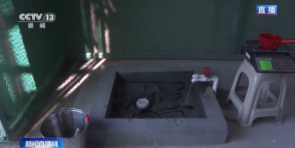 7790�ط����Ź������,����Ұ������׷��,��������׷����,����׷����