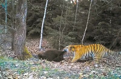 �й���7790�ط�����(�ɷ�)���޹�˾-�ٷ���վ