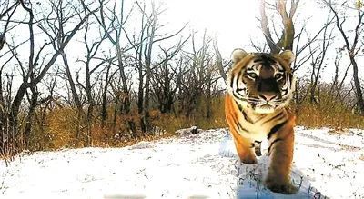 �й���7790�ط�����(�ɷ�)���޹�˾-�ٷ���վ