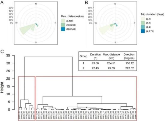 7790±Ø·¢¼¯ÍŹÙÍøÈë¿Ú,ºþÄÏÒ°Éú¶¯Îï×·×Ù,ºþÄÏÎÀÐÇ×·×ÙÆ÷,ºþÄÏ×·×ÙÆ÷ 7790±Ø·¢¼¯ÍŹÙÍøÈë¿Ú,ºþÄÏÒ°Éú¶¯Îï×·×Ù,ºþÄÏÎÀÐÇ×·×ÙÆ÷,ºþÄÏ×·×ÙÆ÷