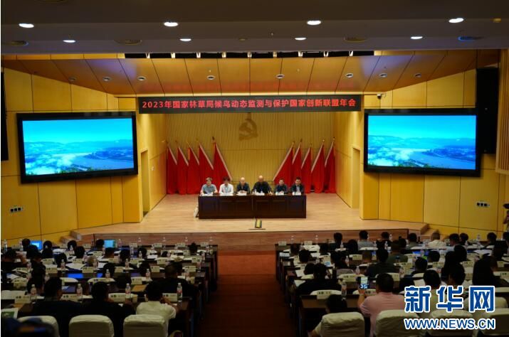 7790�ط����Ź������,����Ұ������׷��,��������׷����,����׷����