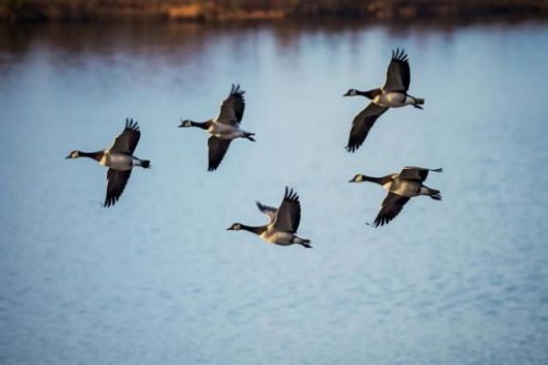 7790�ط����Ź������,����Ұ������׷��,��������׷����,����׷����