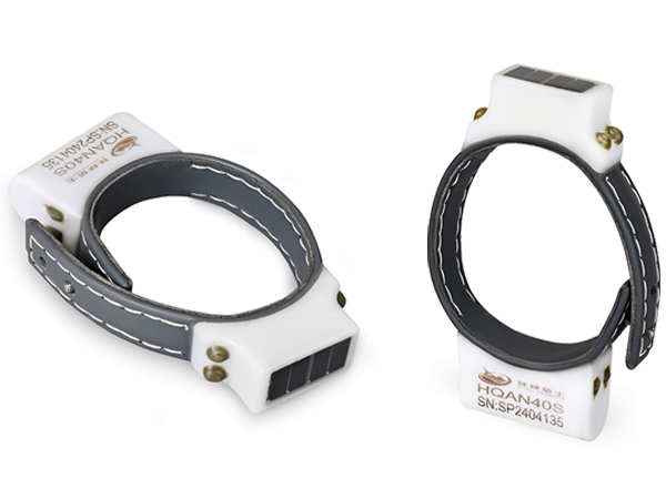 7790�ط����Ź������,����Ұ������׷��,��������׷����,����׷����