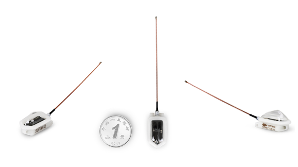 7790�ط����Ź������,����Ұ������׷��,��������׷����,����׷����