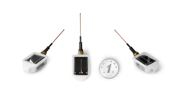 7790�ط����Ź������,����Ұ������׷��,��������׷����,����׷����