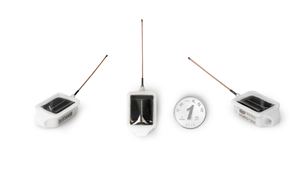 7790�ط����Ź������,����Ұ������׷��,��������׷����,����׷����