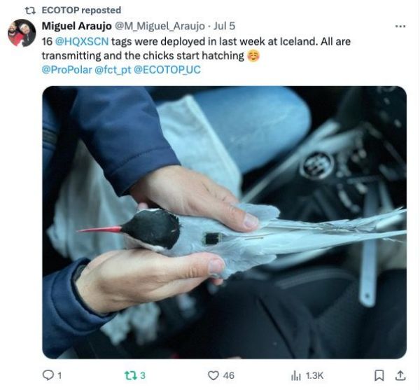 7790�ط����Ź������,����Ұ������׷��,��������׷����,����׷����