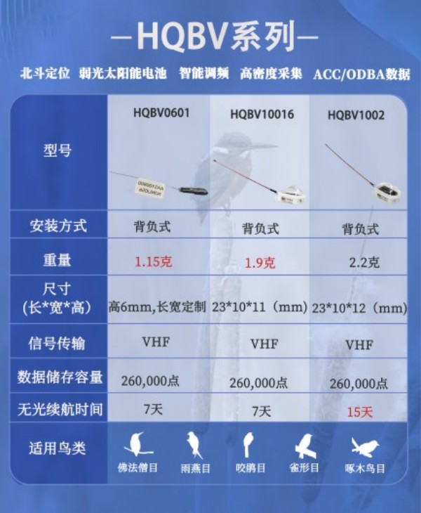 7790�ط����Ź������,����Ұ������׷��,��������׷����,����׷����