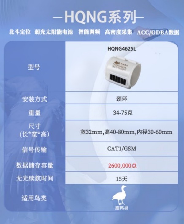 7790�ط����Ź������,����Ұ������׷��,��������׷����,����׷����