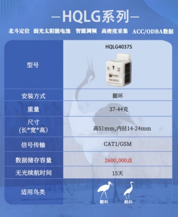 7790�ط����Ź������,����Ұ������׷��,��������׷����,����׷����