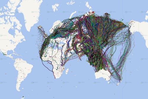 7790�ط����Ź������,����Ұ������׷��,��������׷����,����׷����