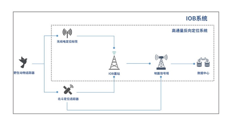 7790�ط����Ź������,����Ұ������׷��,��������׷����,����׷����