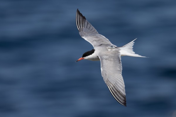 7790�ط����Ź������,����Ұ������׷��,��������׷����,����׷����