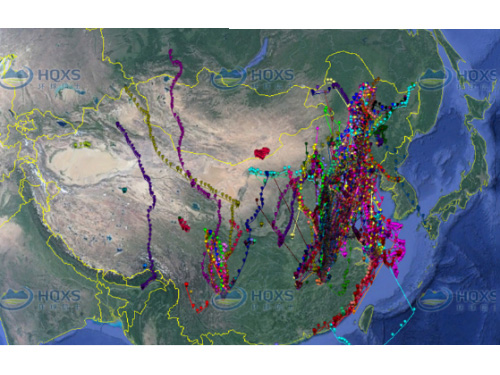 2018Äê2Ô¶«·½°×ðÙǨáã×·×Ù 2018Äê2Ô¶«·½°×ðÙǨáã×·×Ù