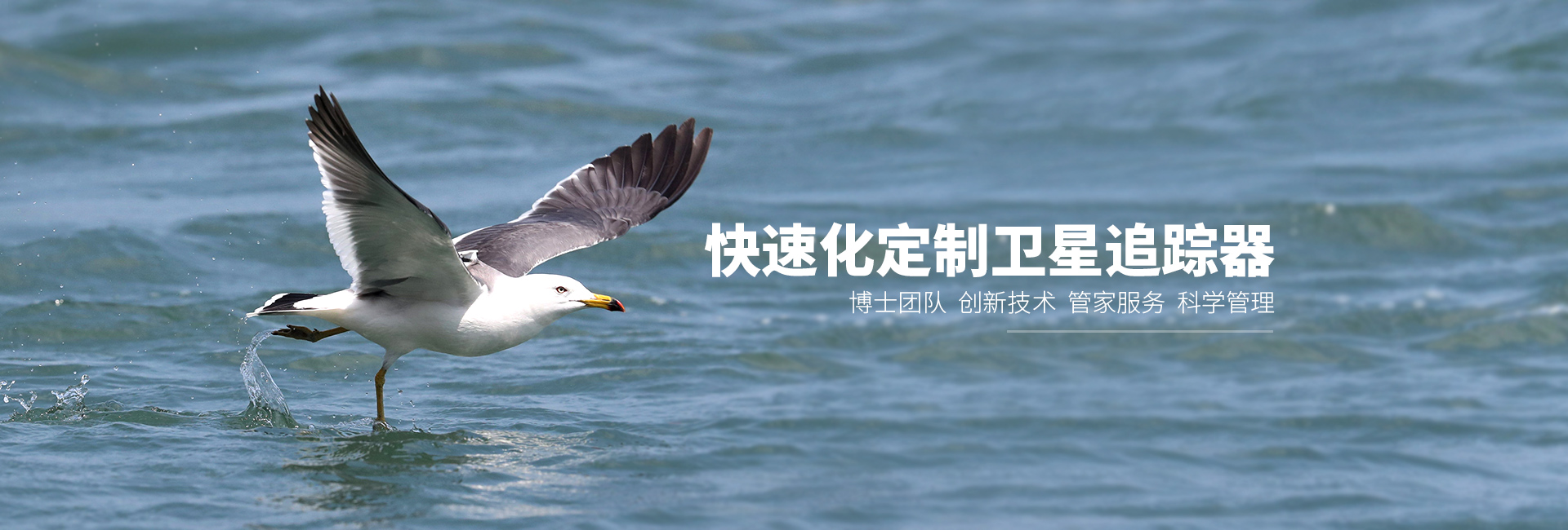 7790±Ø·¢¼¯ÍŹÙÍøÈë¿Ú_ºþÄÏÒ°Éú¶¯Îï×·×Ù|ºþÄÏÎÀÐÇ×·×ÙÆ÷ 7790±Ø·¢¼¯ÍŹÙÍøÈë¿Ú_ºþÄÏÒ°Éú¶¯Îï×·×Ù|ºþÄÏÎÀÐÇ×·×ÙÆ÷